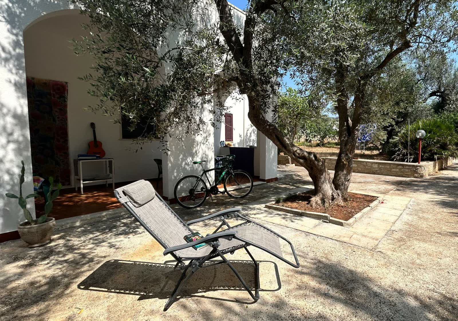 Il giardino con gli ulivi secolari