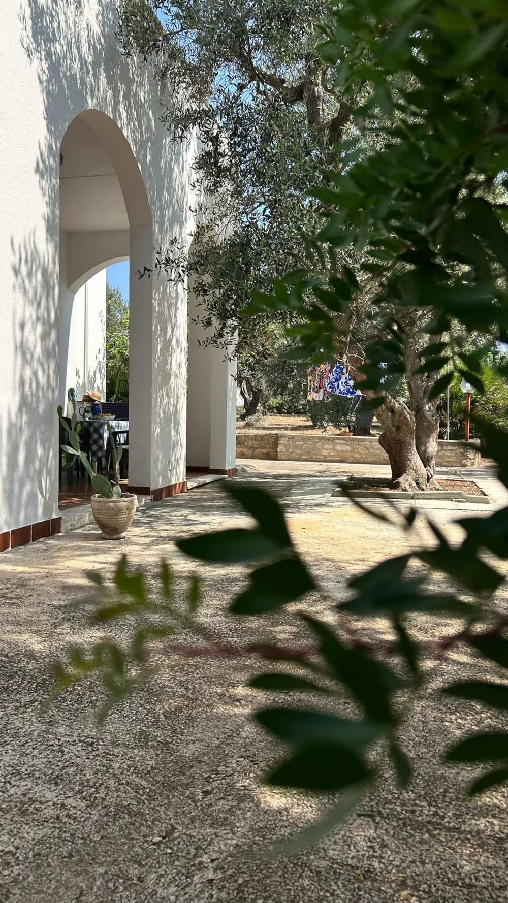 L’arco bianco e l’ombra degli ulivi