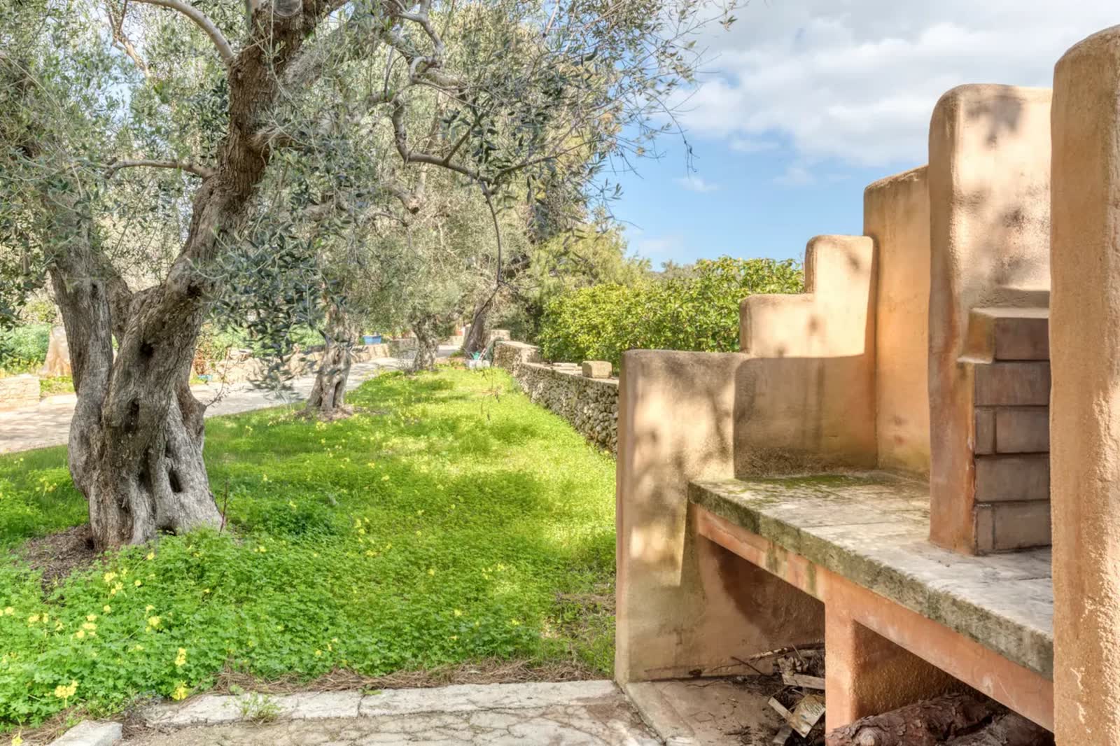 Il braciere in pietra sotto gli ulivi